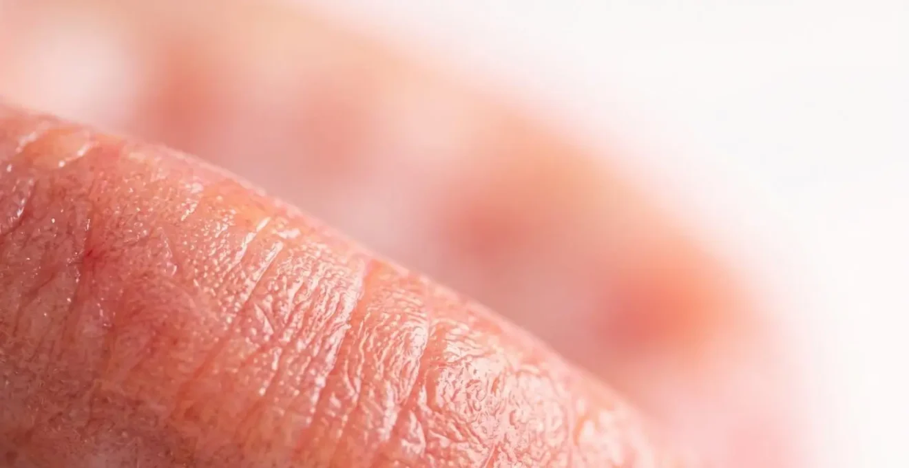 Vue macro des tissus gingivaux illustrant la complexité des structures parodontales
