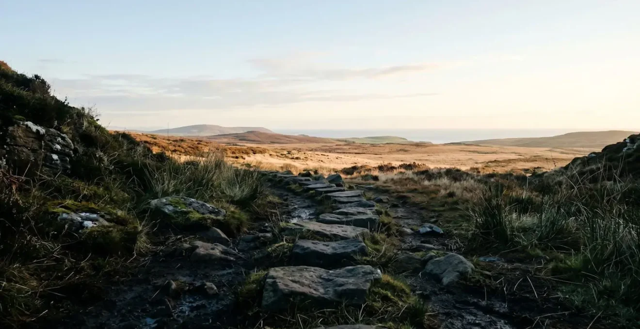 Chemin visuel suggérant une progression avec des pierres de gué menant d'une zone sombre vers une zone plus claire, symbolisant le retour vers une situation d'assurance normale.